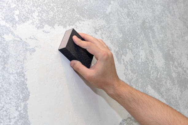 Best Asbestos and Lead Testing During Mold Inspection  in Argentine, MI