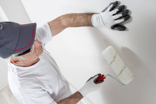 Best Post-Remediation Verification Testing  in Argentine, MI
