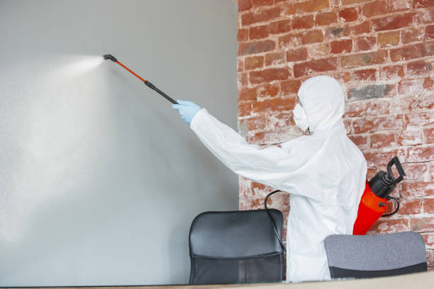 Best Comprehensive Air Testing for Mold Contaminants  in Argentine, MI
