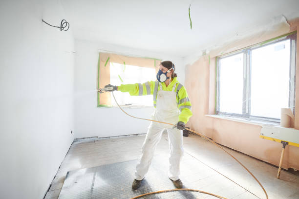 Mold Odor Removal Services in Argentine, MI