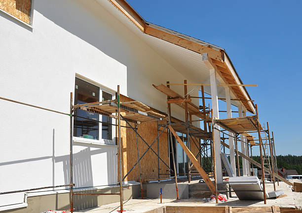 Reliable Argentine, MI Mold Removal Solutions