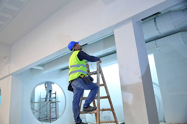 Best Commercial Mold Inspection  in Argentine, MI